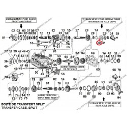 CALE 0.01 B.T. SPLIT