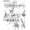 NUT DIFFERENTIAL AXLE