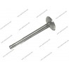 INTAKE VALVE