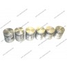 SET 6 STANDARD PISTONS