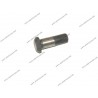 FLYWHEEL BOLT