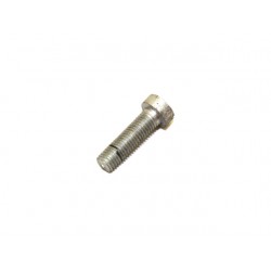 SCREW ASSEMBLY BETWEEN TANK AND CARBURETTOR BODY CARTER