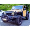 Calandre Eagle Eye - Wrangler JK