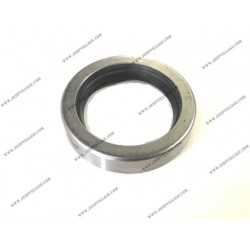 SPI GASKET TIMING CRANKCASE