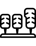 Frein hydraulique